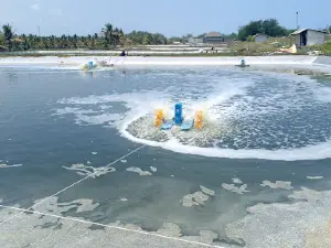 Kertojayan Beach