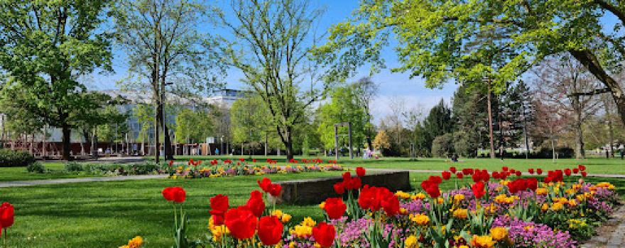 Park Komenského