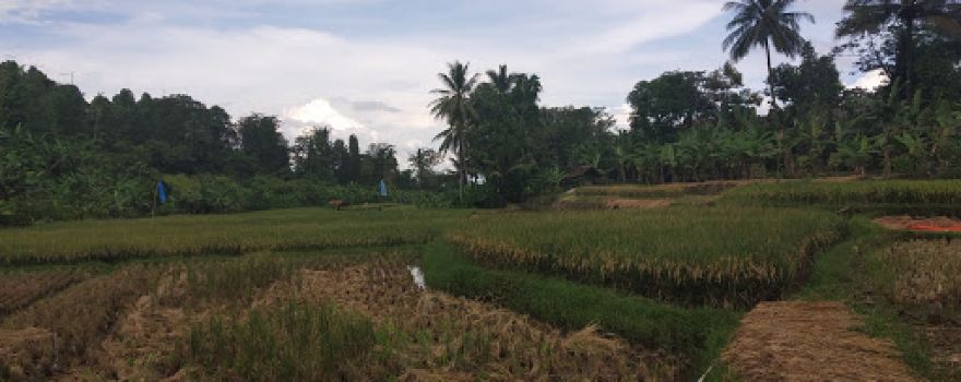 Kp.Kadubereum