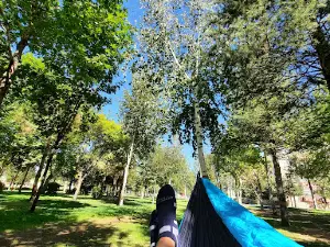 Muhsin Yazıcıoğlu Parkı