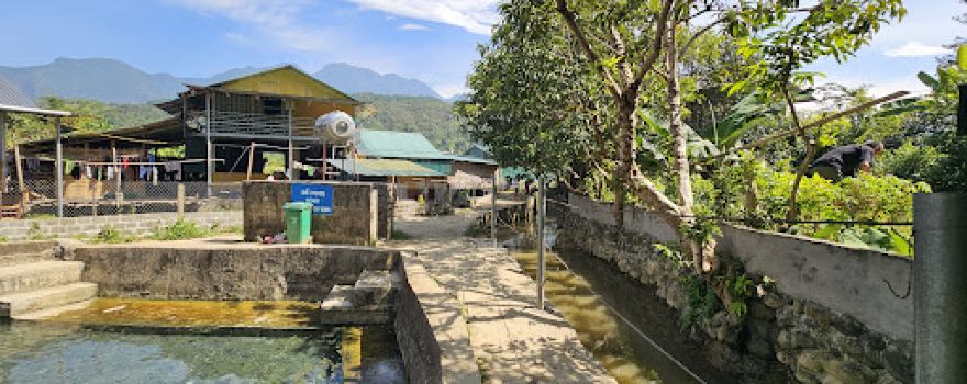 Suối nước nóng