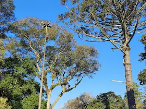 Parque Municipal Das Águas