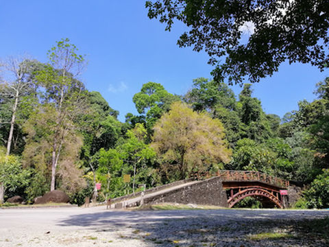 Tree Top Walk Sungai Sedim