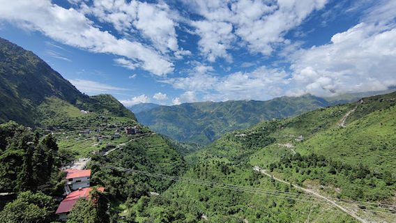 Bhatia Wooden Handicrafts