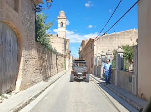 MONKEY BUGGY | Cala Millor, Mallorca