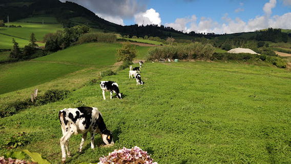 Miradouro da Nossa Senhora da Paz
