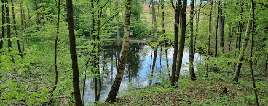 Pfarrerweiher