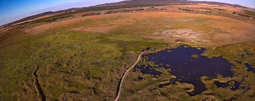 Fivebough and Tuckerbil Wetlands