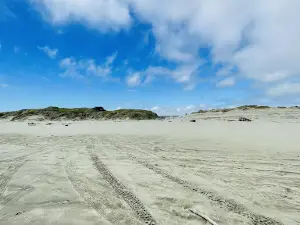 Himatangi Beach