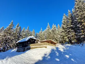 Hochwechsel