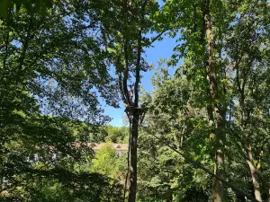 ACRO'BATH- PARC EN FORET DU CLUNISOIS