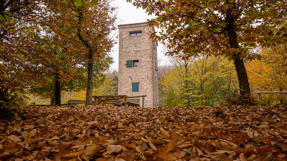 Sentieri del Roccolo Bonato