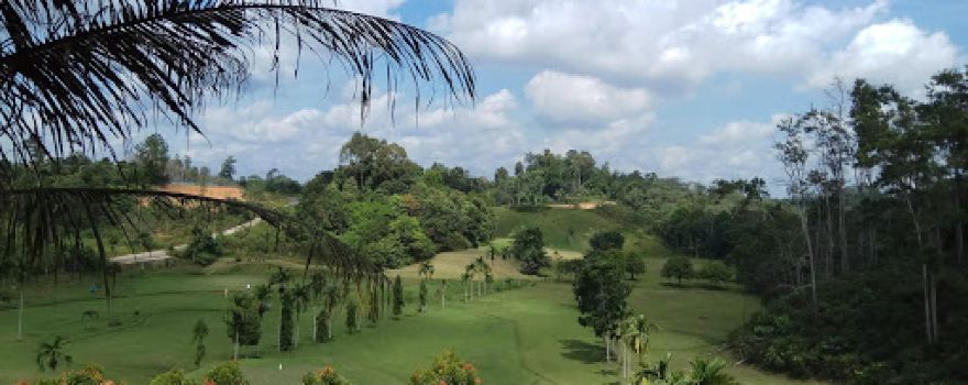 Green Garden Golf
