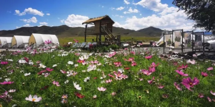 吖吖樂園望山野露營基地