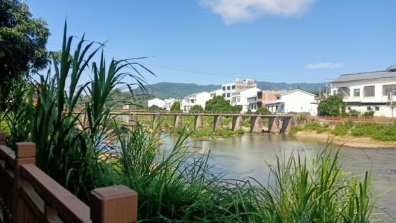 Hongxing Township Plum Blossom Park