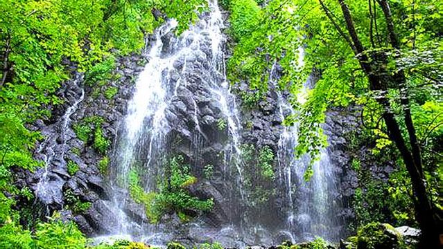 Changbai Stone Forest Scenic Area