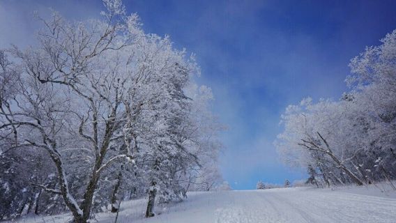 Shiyang Shihushan Park