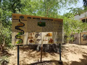 Crocodile Bank Beach