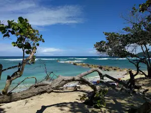 Playa Grande Luperón