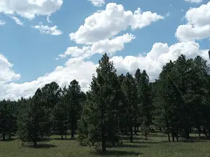 Rolfe C. Hoyer Campground