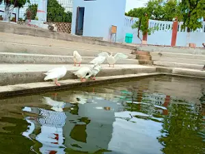 Hanuman Mandir Ghaghasara Bazar Manjharia