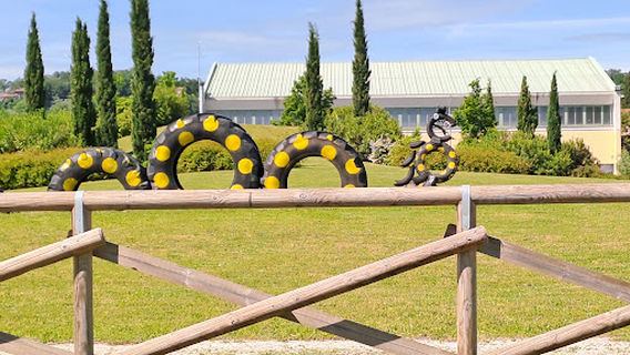 Palestra Polivalente San Felice