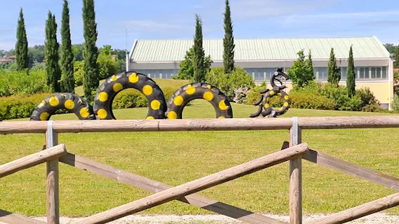 Palestra Polivalente San Felice