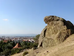 Niobe Weeping Rock