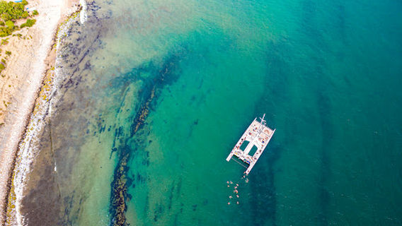 VIP Catamaran