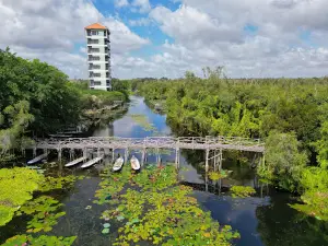 Làng Nổi Tân Lập