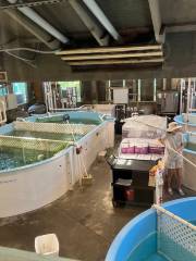 Marine Science Center