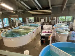 Marine Science Center