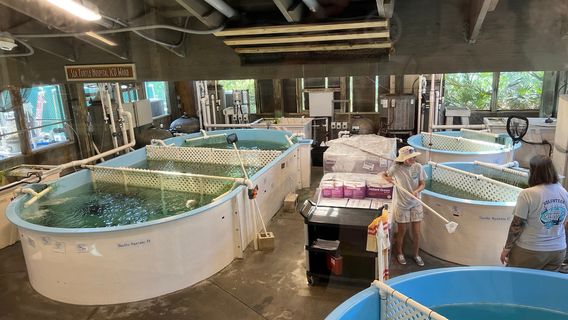 Marine Science Center