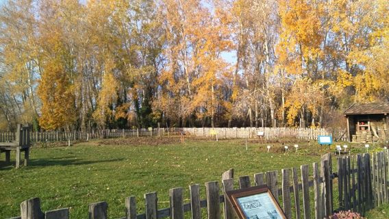 Botanical Garden of Szeged