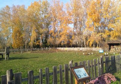 Botanical Garden of Szeged