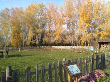 Botanical Garden of Szeged