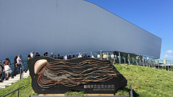 พิพิธภัณฑ์สัตว์น้ำคาโม