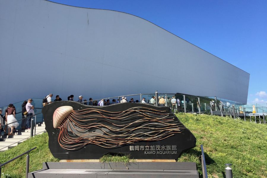 鶴岡市立加茂水族館