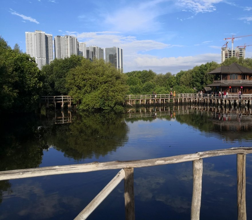 Taman Wisata Alam Mangrove Angke Kapuk
