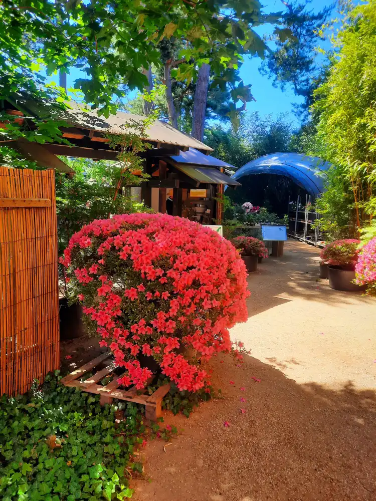 Các khách sạn gần Japanese Bonsai Garden (Japanischer Bonsaigarten)