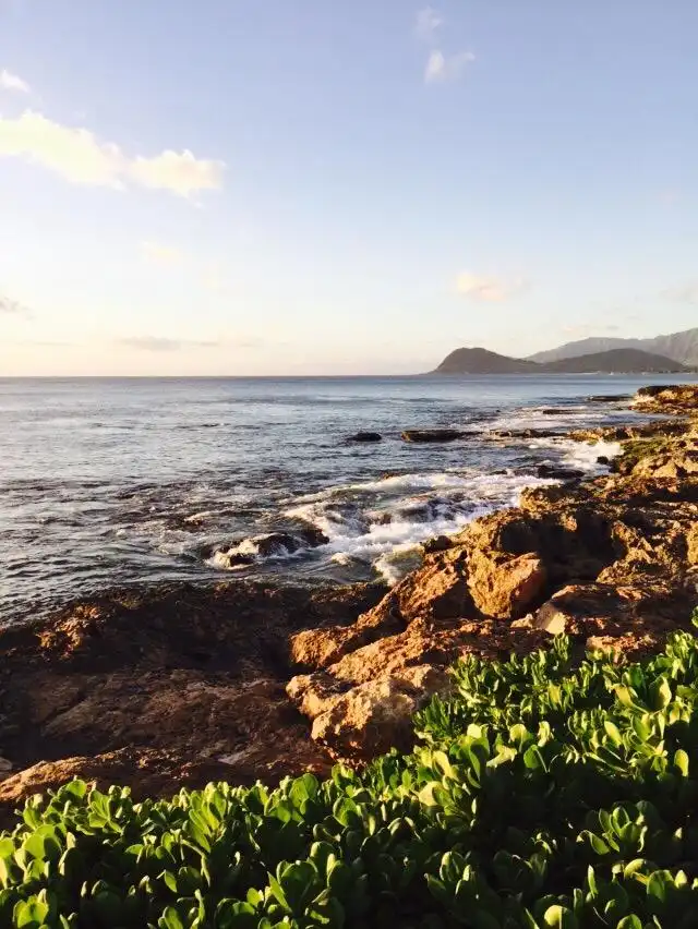 Hotels near Paradise Cove Luau