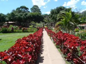 Balneario do Caldas