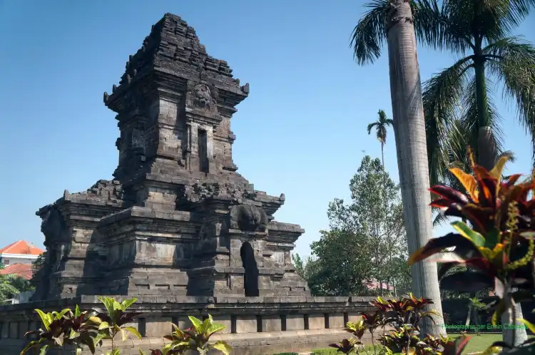 Hotels near Singosari Temple