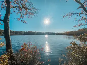 Killens Pond State Park