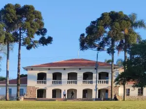Newton Puppi Park