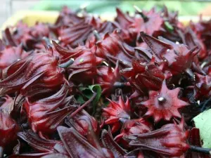 Luang Prabang morning market