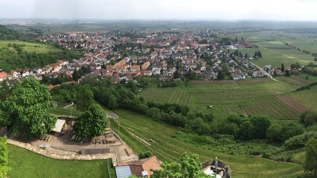 Wachtenburg (Ruin "Castle Wachenheim")