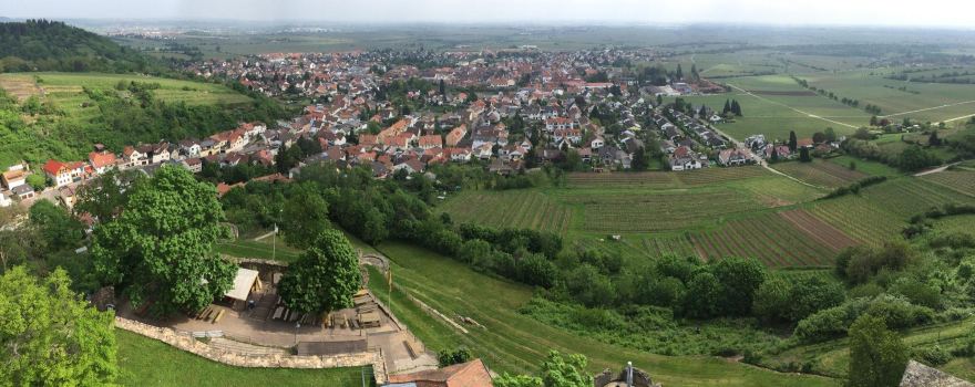 Wachtenburg (Ruin "Castle Wachenheim")