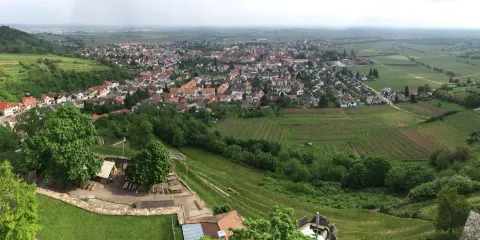 Wachtenburg (Ruin "Castle Wachenheim")
