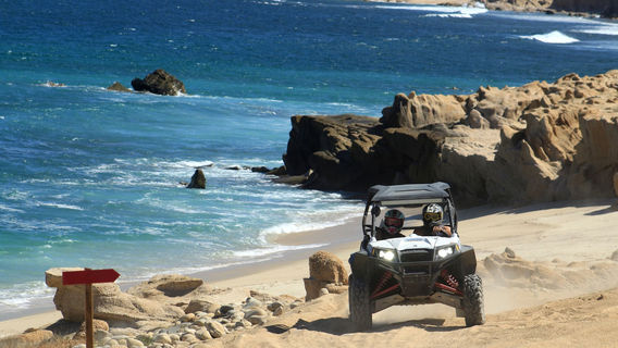 Wild Canyon Adventures